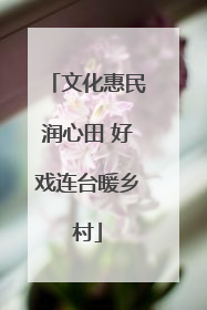 文化惠民润心田 好戏连台暖乡村