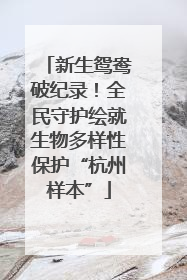 新生鸳鸯破纪录！全民守护绘就生物多样性保护“杭州样本”
