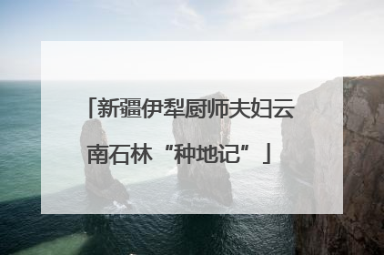 新疆伊犁厨师夫妇云南石林“种地记”