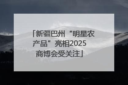 新疆巴州“明星农产品”亮相2025商博会受关注