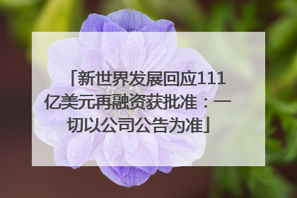 新世界发展回应111亿美元再融资获批准：一切以公司公告为准