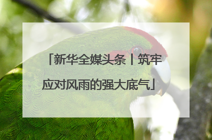 新华全媒头条丨筑牢应对风雨的强大底气