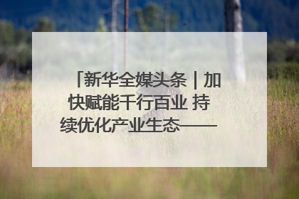 新华全媒头条｜加快赋能千行百业 持续优化产业生态——浙江推动人工智能健康有序发展观察