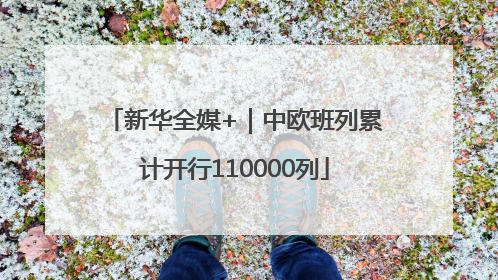 新华全媒+｜中欧班列累计开行110000列