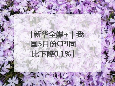 新华全媒+｜我国5月份CPI同比下降0.1%