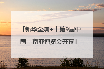 新华全媒+丨第9届中国—南亚博览会开幕
