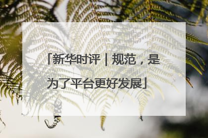 新华时评｜规范，是为了平台更好发展