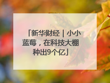 新华财经｜小小蓝莓，在科技大棚种出9个亿
