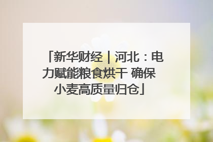 新华财经｜河北：电力赋能粮食烘干 确保小麦高质量归仓