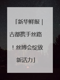 新华鲜报｜古都携手丝路！丝博会绽放新活力