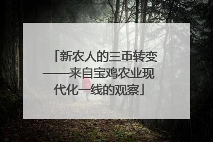 新农人的三重转变——来自宝鸡农业现代化一线的观察