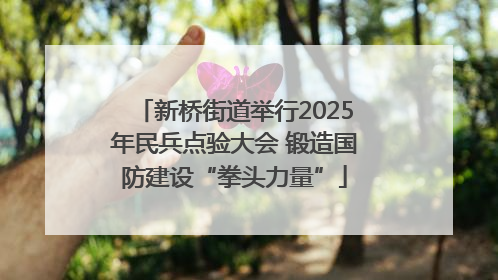 新桥街道举行2025年民兵点验大会 锻造国防建设“拳头力量”