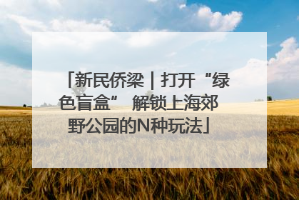 新民侨梁｜打开“绿色盲盒” 解锁上海郊野公园的N种玩法