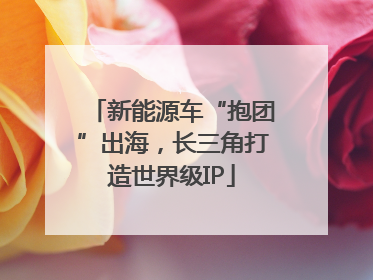 新能源车“抱团”出海，长三角打造世界级IP