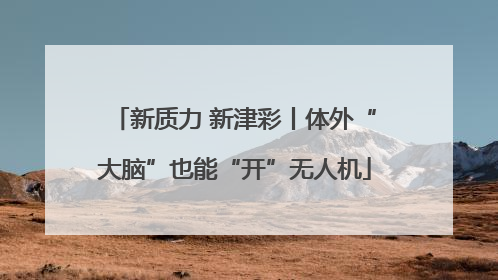 新质力 新津彩丨体外“大脑”也能“开”无人机