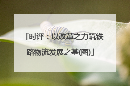 时评：以改革之力筑铁路物流发展之基(图)