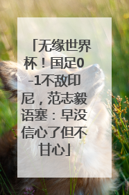 无缘世界杯！国足0-1不敌印尼，范志毅语塞：早没信心了但不甘心