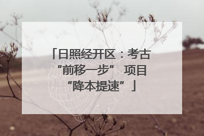 日照经开区：考古“前移一步” 项目“降本提速”