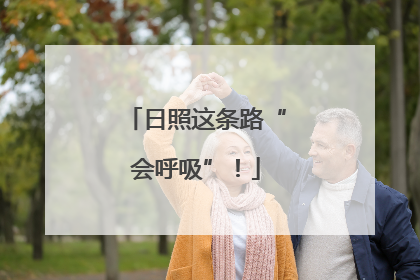 日照这条路“会呼吸”！