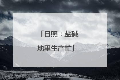 日照：盐碱地里生产忙