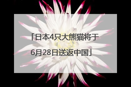 日本4只大熊猫将于6月28日送返中国