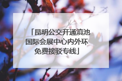 昆明公交开通滇池国际会展中心内外环免费接驳专线