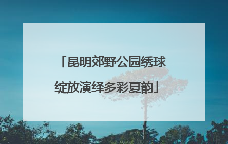 昆明郊野公园绣球绽放演绎多彩夏韵
