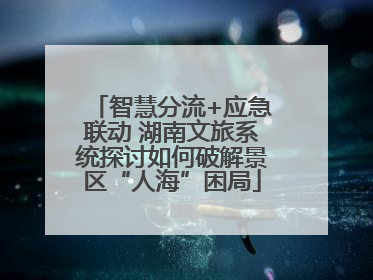 智慧分流+应急联动 湖南文旅系统探讨如何破解景区“人海”困局