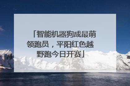 智能机器狗成最萌领跑员，平阳红色越野跑今日开赛