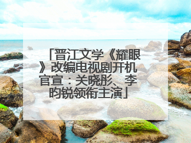 晋江文学《耀眼》改编电视剧开机官宣：关晓彤、李昀锐领衔主演
