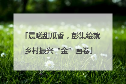 晨曦甜瓜香，彭集绘就乡村振兴“金”画卷