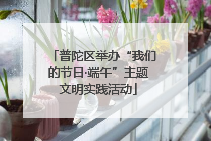 普陀区举办“我们的节日·端午”主题文明实践活动