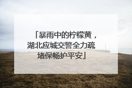 暴雨中的柠檬黄，湖北应城交警全力疏堵保畅护平安