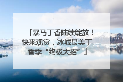 暴马丁香陆续绽放！快来观赏，冰城最美丁香季“终极大招”