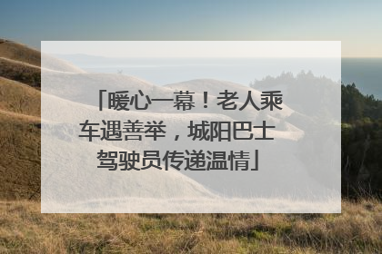 暖心一幕！老人乘车遇善举，城阳巴士驾驶员传递温情