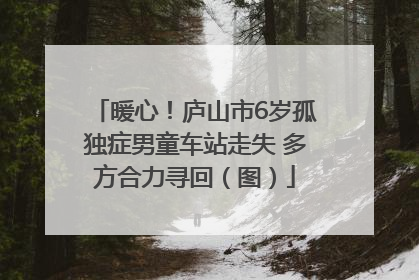 暖心！庐山市6岁孤独症男童车站走失 多方合力寻回（图）