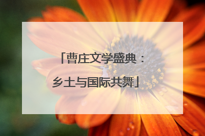 曹庄文学盛典：乡土与国际共舞