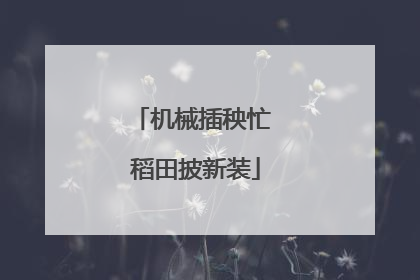 机械插秧忙 稻田披新装