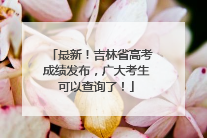 最新！吉林省高考成绩发布，广大考生可以查询了！