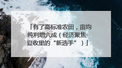 有了高标准农田，亩均纯利增六成（经济聚焦·夏收里的“新选手”）
