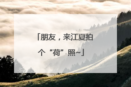 朋友，来江夏拍个“荷”照~
