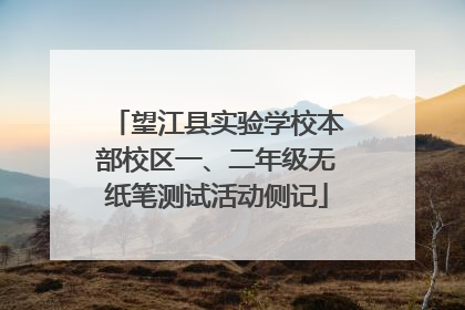 望江县实验学校本部校区一、二年级无纸笔测试活动侧记