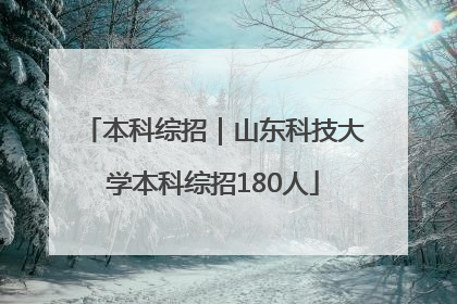 本科综招｜山东科技大学本科综招180人