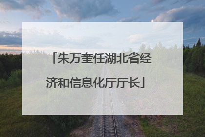 朱万奎任湖北省经济和信息化厅厅长