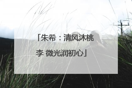 朱希：清风沐桃李 微光润初心