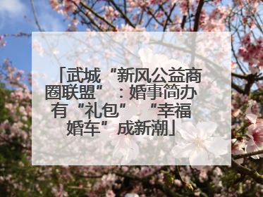 武城“新风公益商圈联盟”：婚事简办有“礼包” “幸福婚车”成新潮