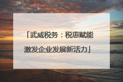 武威税务：税惠赋能 激发企业发展新活力