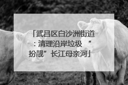 武昌区白沙洲街道：清理沿岸垃圾 “扮靓”长江母亲河