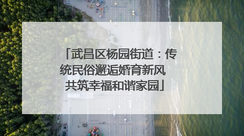 武昌区杨园街道：传统民俗邂逅婚育新风 共筑幸福和谐家园