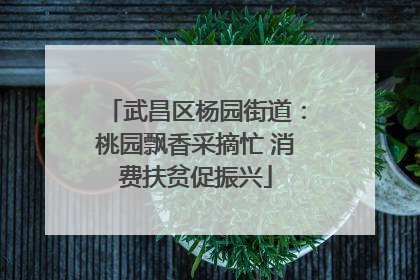 武昌区杨园街道：桃园飘香采摘忙 消费扶贫促振兴